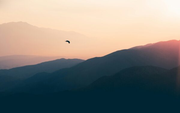 How to get started with camera drones for photography and video