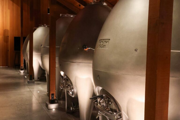 Fermentation tanks stainless
