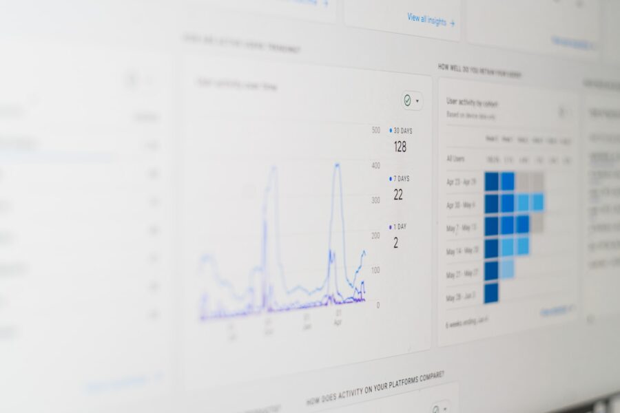 Data scientist auditing