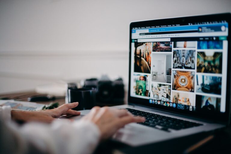 Search interface browser